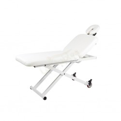 Table de massage SPA 1 moteur 2 plans + Livraison OFFERTE - 3